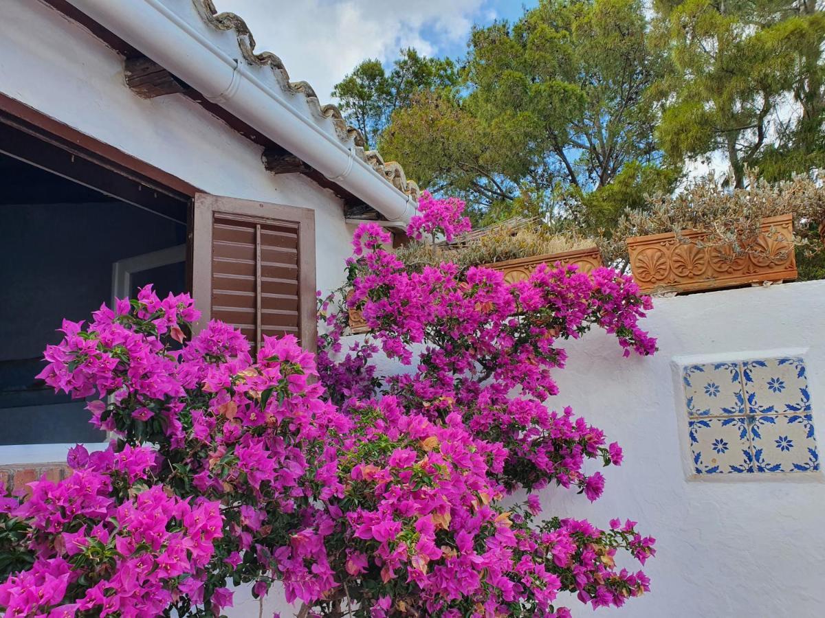 Villa Tonnara Σαν Βίτο λο Κάπο Εξωτερικό φωτογραφία