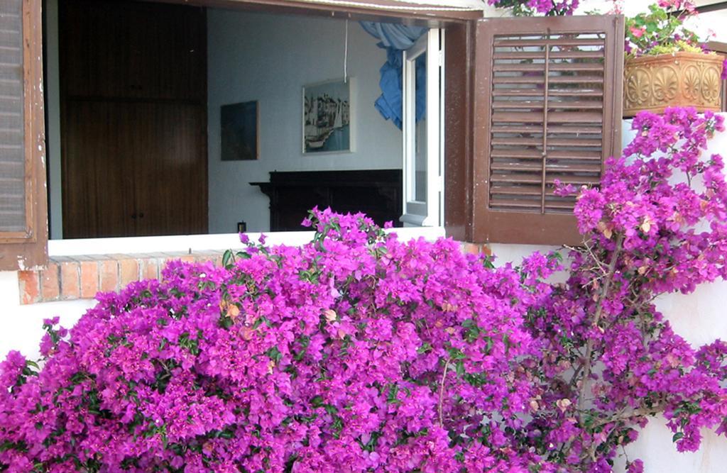 Villa Tonnara Σαν Βίτο λο Κάπο Εξωτερικό φωτογραφία